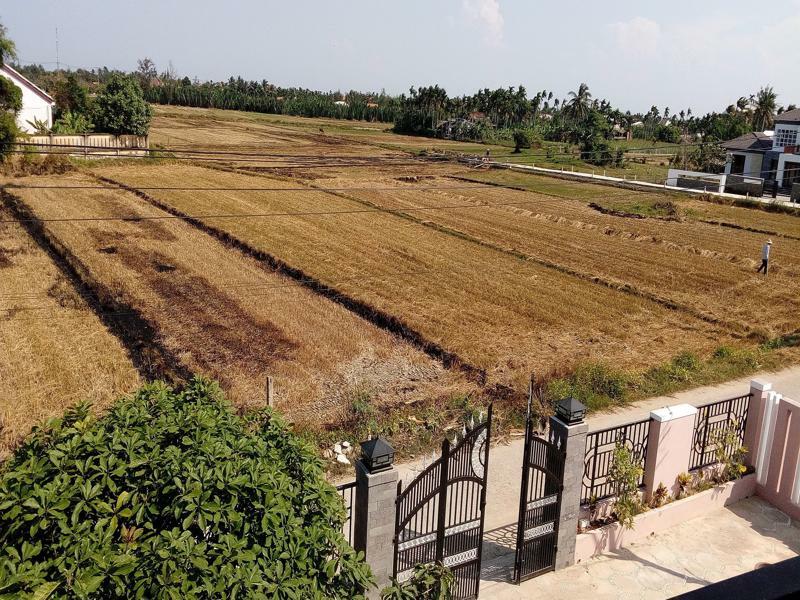The Field Homestay Hoi An Exterior photo