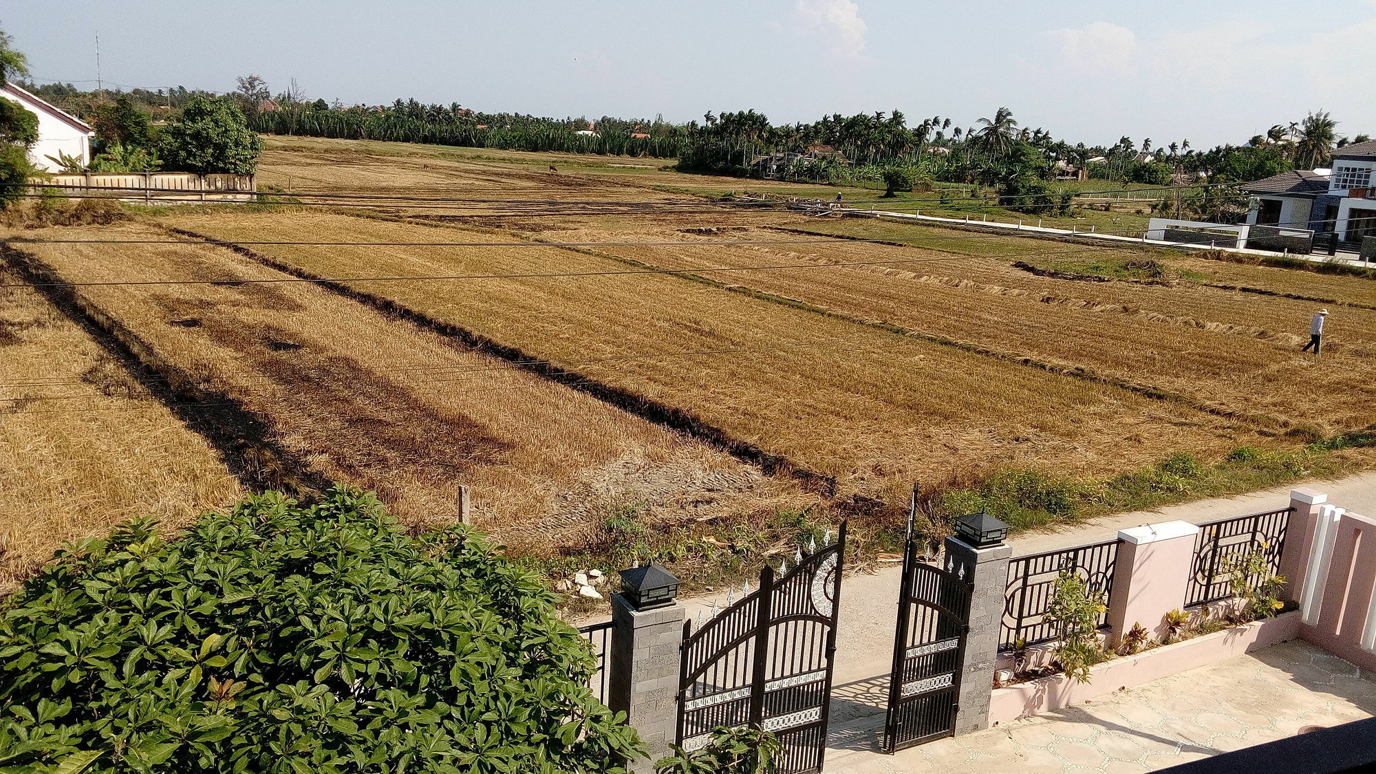 The Field Homestay Hoi An Exterior photo